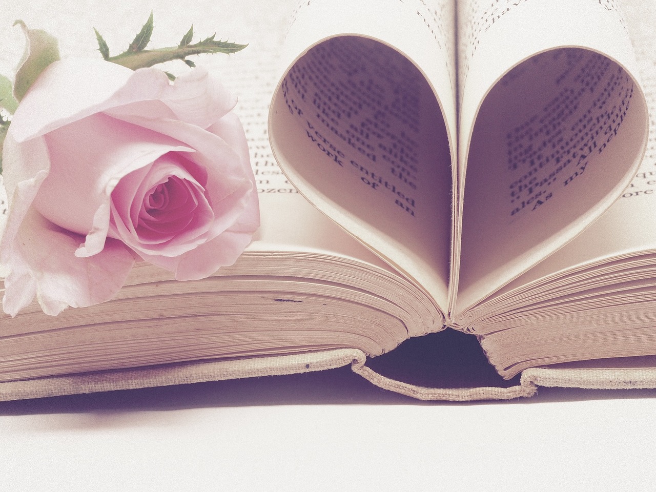 Essentialism vs Non-Essentialism - A Philosophical Approach